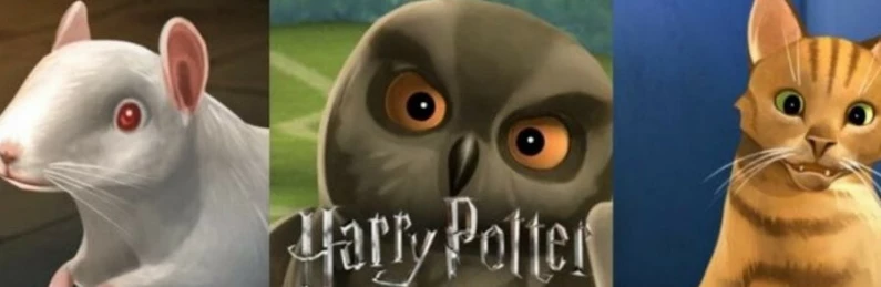 Harry Potter Hogwarts Mystery : ajout du Chemin de Traverse & fuites