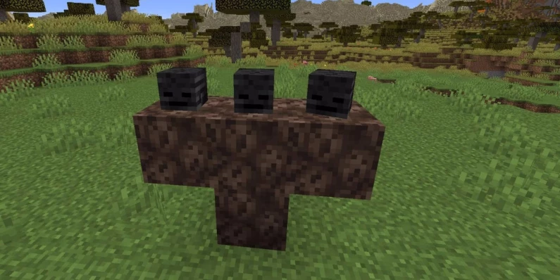 article_jeux_videoguide_minecraft_wither_1.jpg